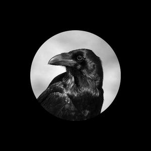 午夜激情在线观看
