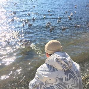 午夜激情在线观看
