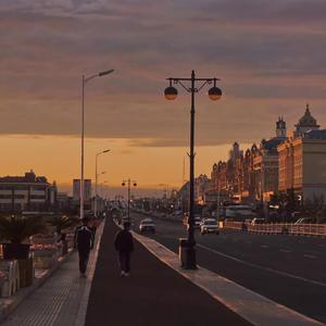 午夜激情在线观看

