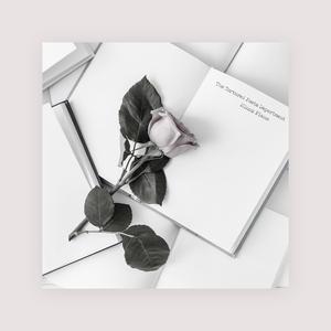 午夜激情在线观看
