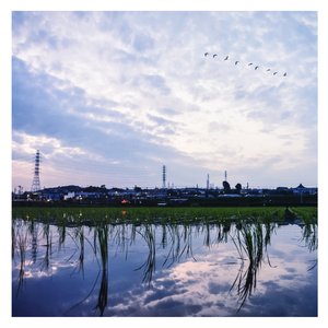 午夜激情在线观看
